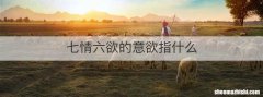 七情六欲的意欲指什么