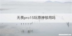 无畏pro15玩原神够用吗