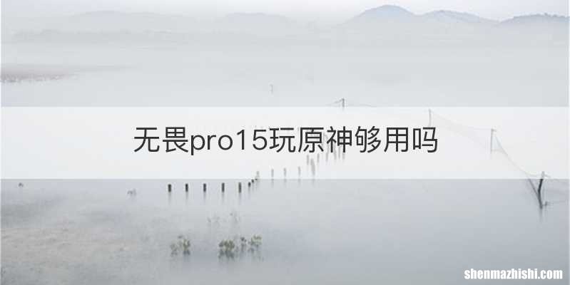无畏pro15玩原神够用吗