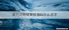 疯狂动物城黄鼠狼叫什么名字