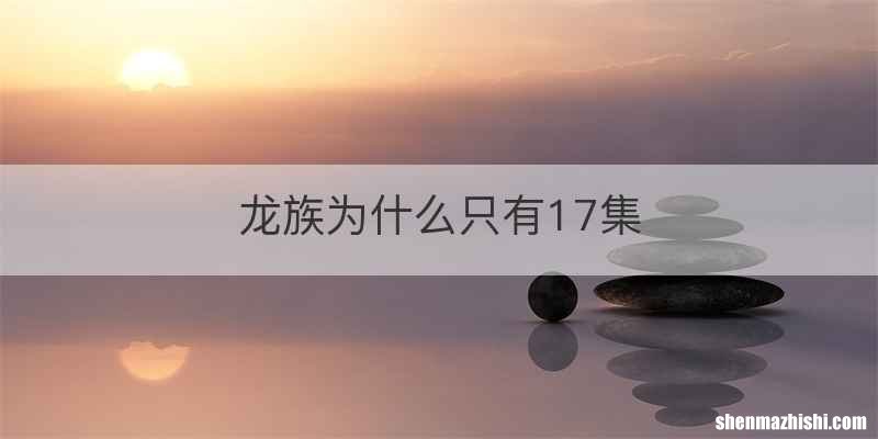龙族为什么只有17集