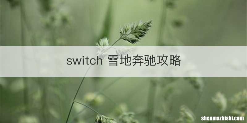 switch 雪地奔驰攻略