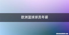 欧洲篮球球员年薪