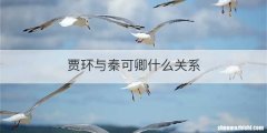 贾环与秦可卿什么关系
