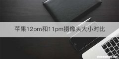 苹果12pm和11pm摄像头大小对比