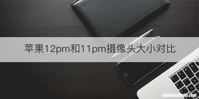 苹果12pm和11pm摄像头大小对比