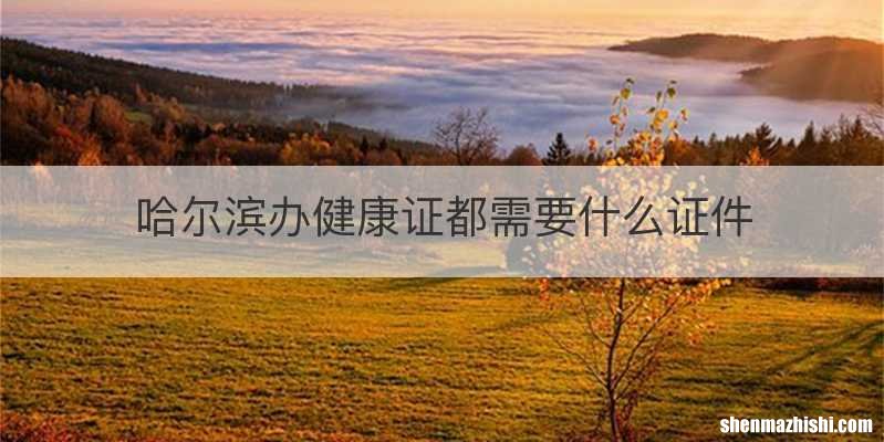 哈尔滨办健康证都需要什么证件