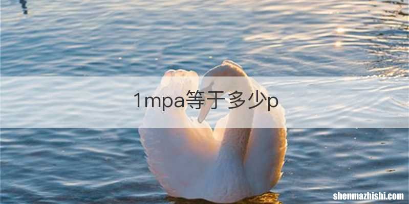 1mpa等于多少p