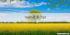 1mm是多少pt