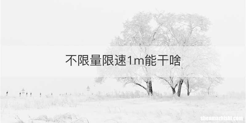 不限量限速1m能干啥