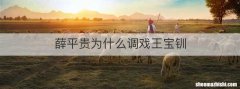 薛平贵为什么调戏王宝钏