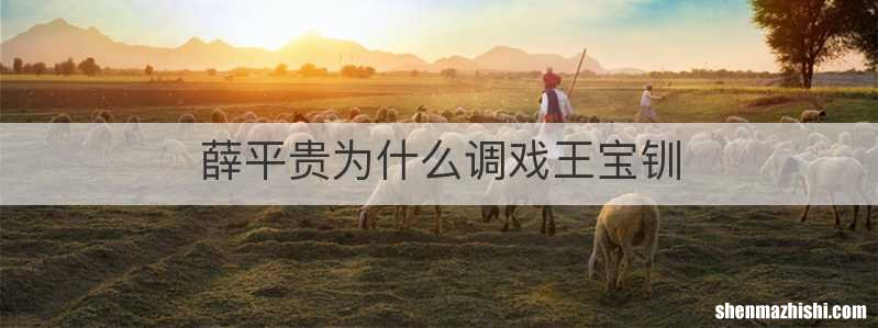 薛平贵为什么调戏王宝钏