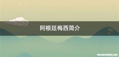 阿根廷梅西简介