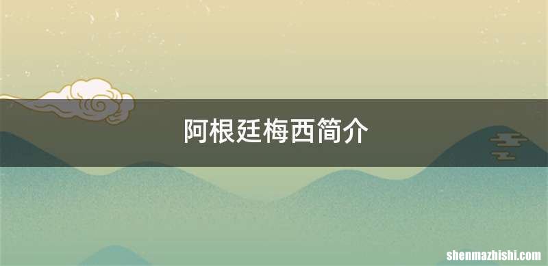 阿根廷梅西简介