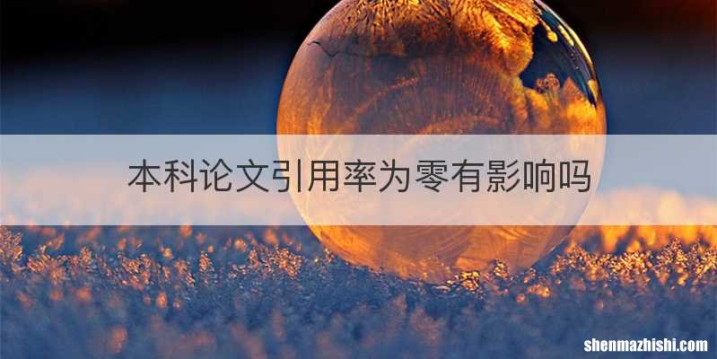 本科论文引用率为零有影响吗