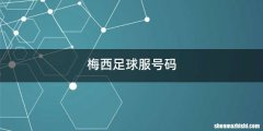 梅西足球服号码