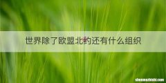 世界除了欧盟北约还有什么组织