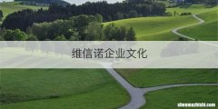 维信诺企业文化