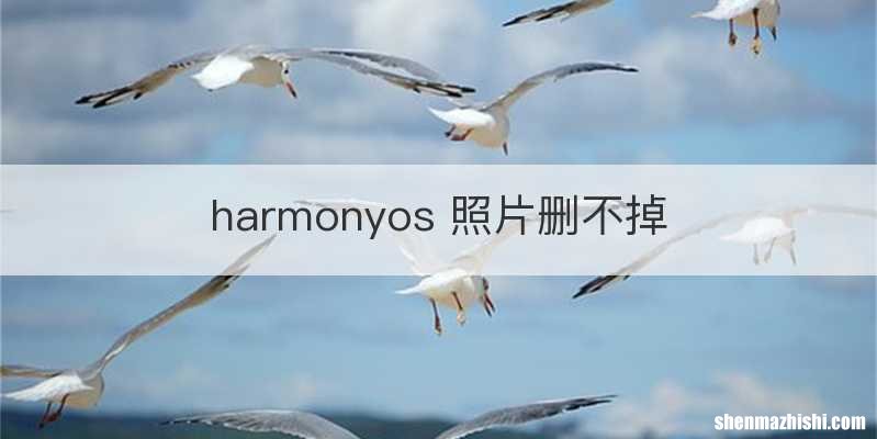 harmonyos 照片删不掉