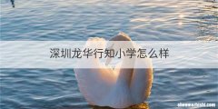 深圳龙华行知小学怎么样