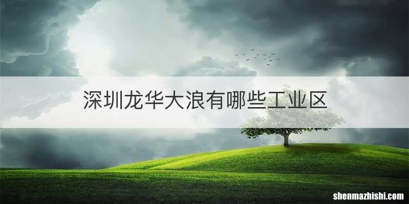 深圳龙华大浪有哪些工业区