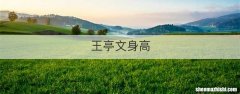王亭文身高