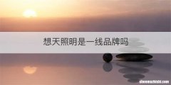 想天照明是一线品牌吗