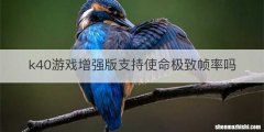 k40游戏增强版支持使命极致帧率吗