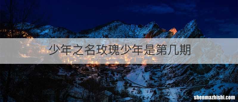少年之名玫瑰少年是第几期