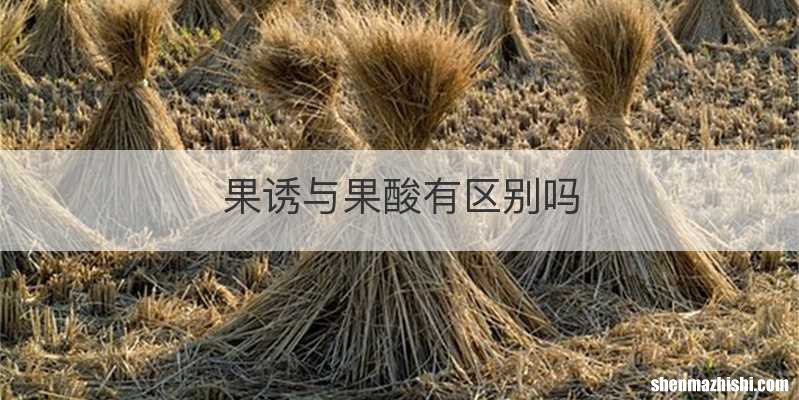 果诱与果酸有区别吗