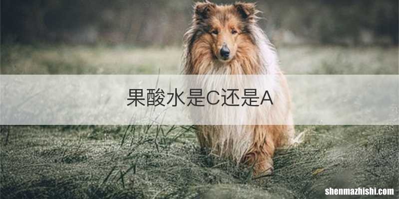 果酸水是C还是A