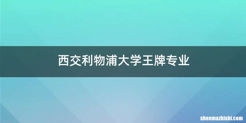 西交利物浦大学王牌专业