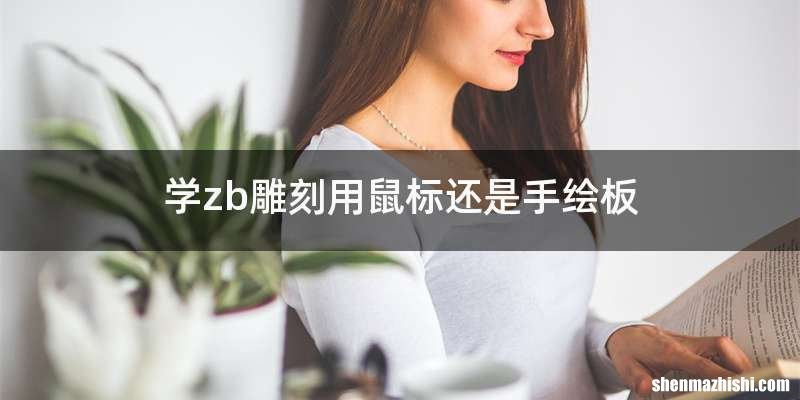 学zb雕刻用鼠标还是手绘板