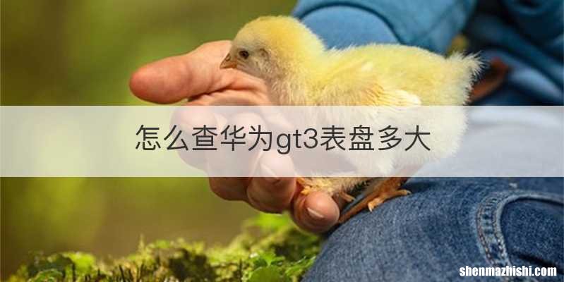 怎么查华为gt3表盘多大