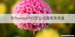 华为watchfit2怎么设置常亮表盘