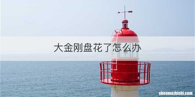 大金刚盘花了怎么办