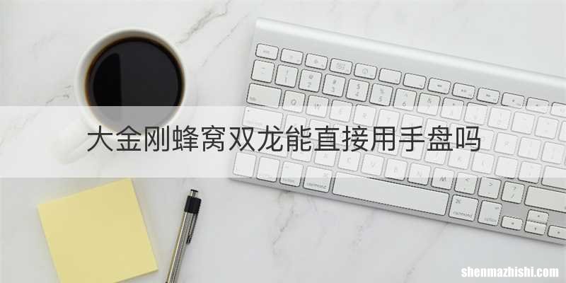 大金刚蜂窝双龙能直接用手盘吗