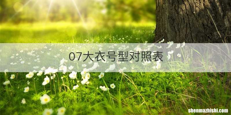 07大衣号型对照表