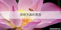 异想天真的意思