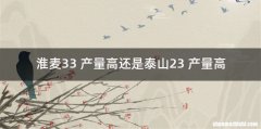 淮麦33 产量高还是泰山23 产量高