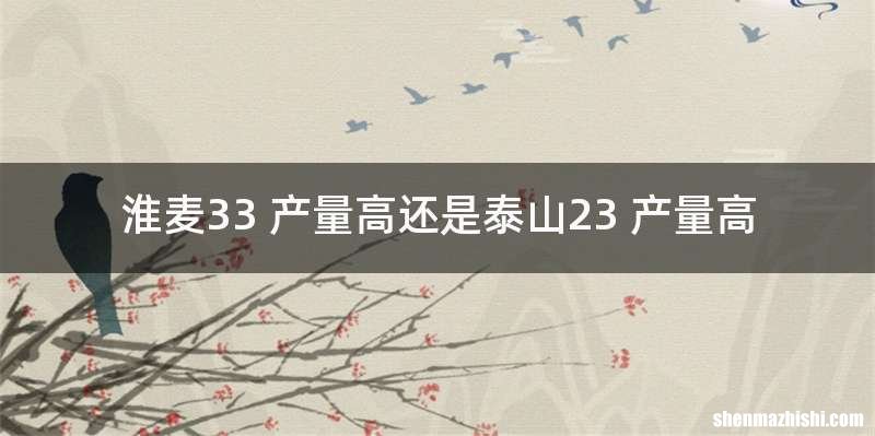 淮麦33 产量高还是泰山23 产量高