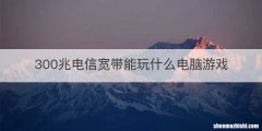 300兆电信宽带能玩什么电脑游戏