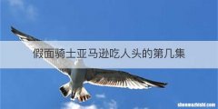 假面骑士亚马逊吃人头的第几集