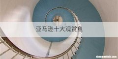 亚马逊十大观赏鱼