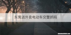 东莞送外卖电动车交警抓吗