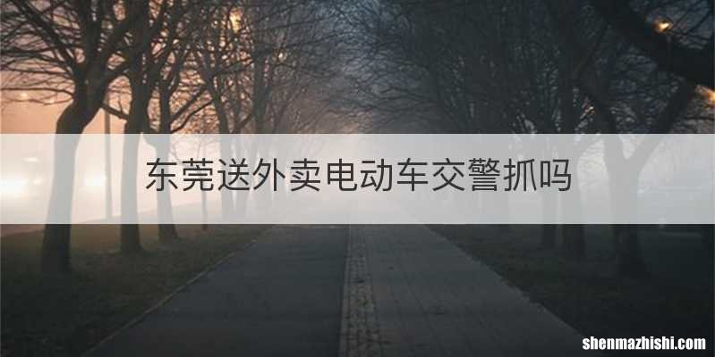 东莞送外卖电动车交警抓吗