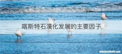 喀斯特石漠化发展的主要因子