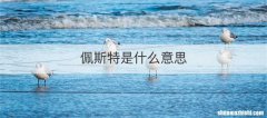 佩斯特是什么意思