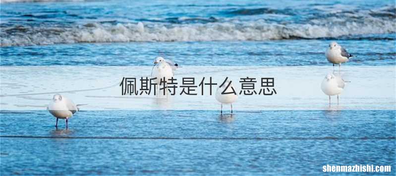 佩斯特是什么意思
