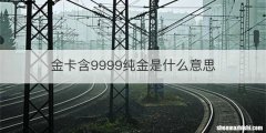 金卡含9999纯金是什么意思